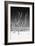 Cuba Fuerte Collection B&W - White Trees Beach V-Philippe Hugonnard-Framed Photographic Print