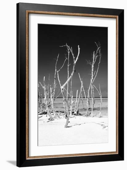 Cuba Fuerte Collection B&W - White Trees Beach V-Philippe Hugonnard-Framed Photographic Print