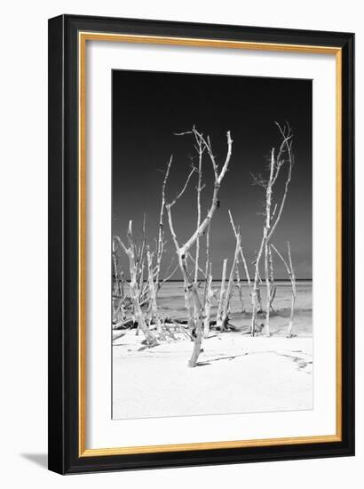 Cuba Fuerte Collection B&W - White Trees Beach V-Philippe Hugonnard-Framed Photographic Print