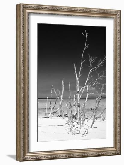 Cuba Fuerte Collection B&W - White Trees Beach VI-Philippe Hugonnard-Framed Photographic Print