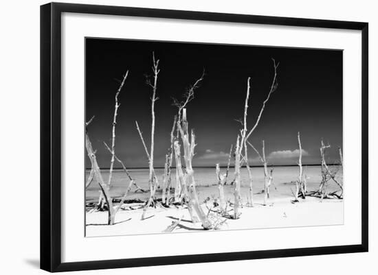 Cuba Fuerte Collection B&W - White Trees Beach-Philippe Hugonnard-Framed Photographic Print