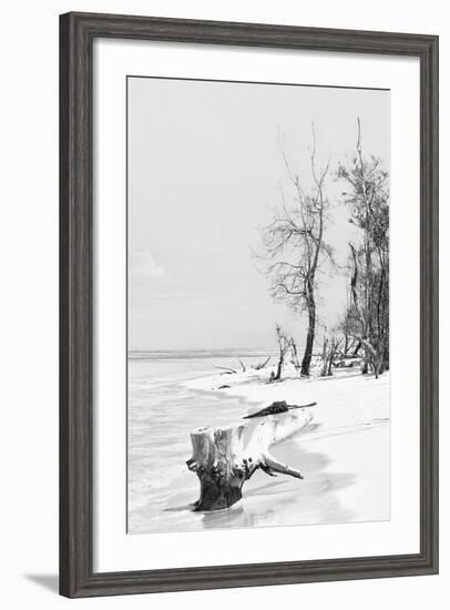 Cuba Fuerte Collection B&W - Wooden Beach II-Philippe Hugonnard-Framed Photographic Print
