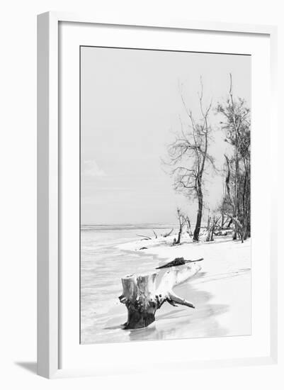 Cuba Fuerte Collection B&W - Wooden Beach II-Philippe Hugonnard-Framed Photographic Print