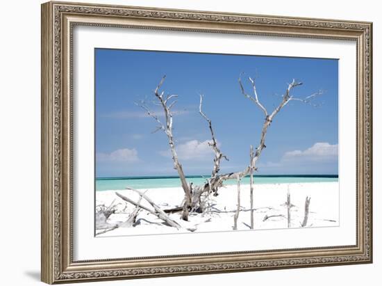 Cuba Fuerte Collection - Beautiful Wild Beach-Philippe Hugonnard-Framed Photographic Print