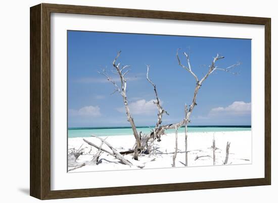 Cuba Fuerte Collection - Beautiful Wild Beach-Philippe Hugonnard-Framed Photographic Print