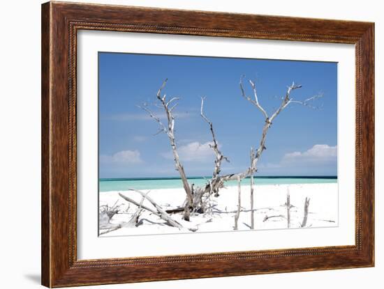 Cuba Fuerte Collection - Beautiful Wild Beach-Philippe Hugonnard-Framed Photographic Print