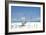 Cuba Fuerte Collection - Beautiful Wild Beach-Philippe Hugonnard-Framed Photographic Print