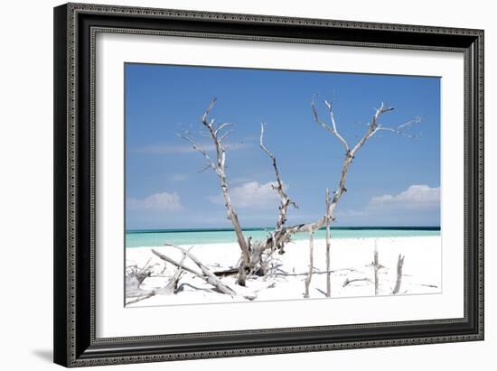 Cuba Fuerte Collection - Beautiful Wild Beach-Philippe Hugonnard-Framed Photographic Print