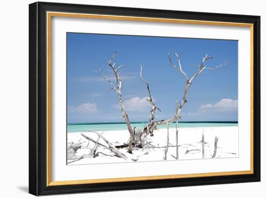 Cuba Fuerte Collection - Beautiful Wild Beach-Philippe Hugonnard-Framed Photographic Print