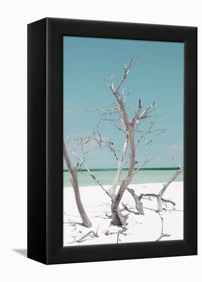 Cuba Fuerte Collection - Coral Green Stillness II-Philippe Hugonnard-Framed Premier Image Canvas