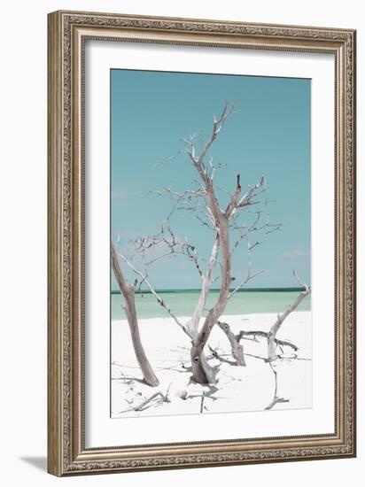 Cuba Fuerte Collection - Coral Green Stillness II-Philippe Hugonnard-Framed Photographic Print