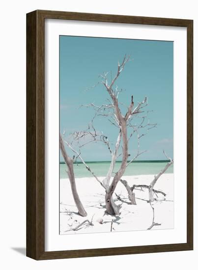 Cuba Fuerte Collection - Coral Green Stillness II-Philippe Hugonnard-Framed Photographic Print