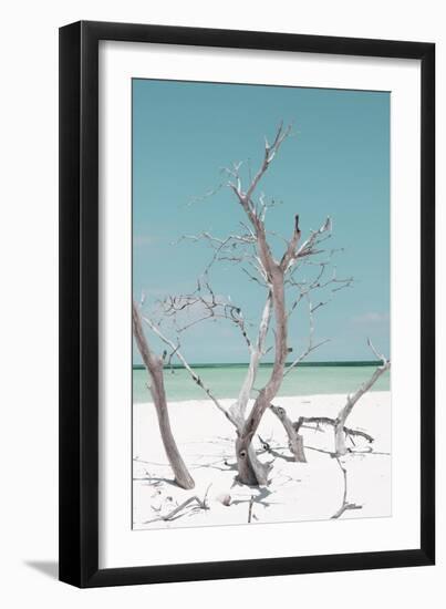 Cuba Fuerte Collection - Coral Green Stillness II-Philippe Hugonnard-Framed Photographic Print