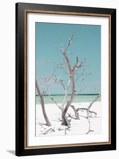 Cuba Fuerte Collection - Coral Green Stillness II-Philippe Hugonnard-Framed Photographic Print