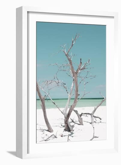 Cuba Fuerte Collection - Coral Green Stillness II-Philippe Hugonnard-Framed Photographic Print