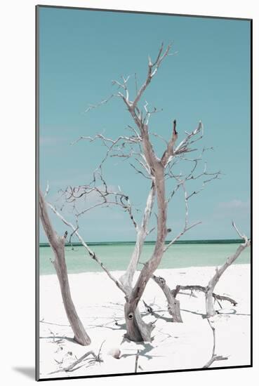 Cuba Fuerte Collection - Coral Green Stillness II-Philippe Hugonnard-Mounted Photographic Print