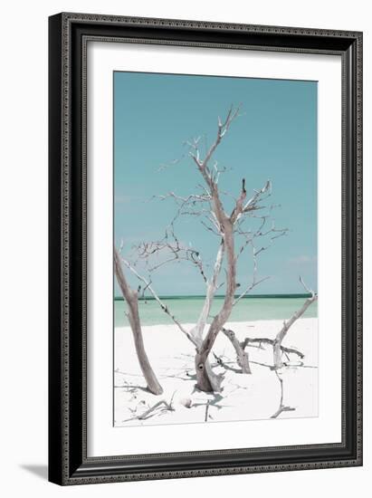 Cuba Fuerte Collection - Coral Green Stillness II-Philippe Hugonnard-Framed Photographic Print