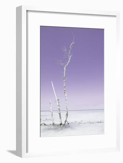 Cuba Fuerte Collection - Ocean Nature - Pastel Purple-Philippe Hugonnard-Framed Photographic Print