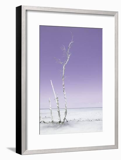 Cuba Fuerte Collection - Ocean Nature - Pastel Purple-Philippe Hugonnard-Framed Photographic Print