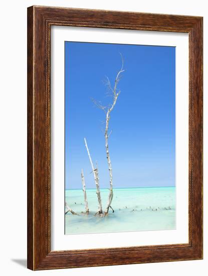 Cuba Fuerte Collection - Ocean Nature-Philippe Hugonnard-Framed Photographic Print