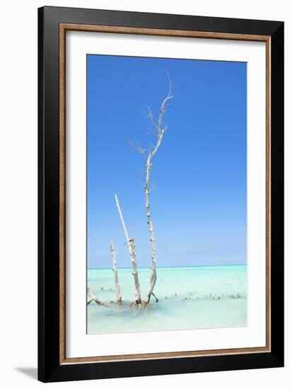 Cuba Fuerte Collection - Ocean Nature-Philippe Hugonnard-Framed Photographic Print