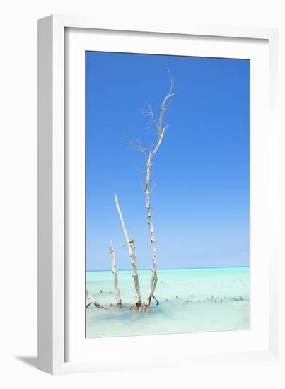 Cuba Fuerte Collection - Ocean Nature-Philippe Hugonnard-Framed Photographic Print