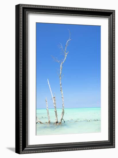 Cuba Fuerte Collection - Ocean Nature-Philippe Hugonnard-Framed Photographic Print