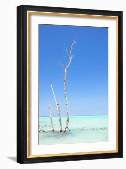 Cuba Fuerte Collection - Ocean Nature-Philippe Hugonnard-Framed Photographic Print