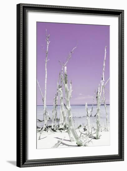 Cuba Fuerte Collection - Ocean Wild Nature II - Pastel Purple-Philippe Hugonnard-Framed Photographic Print