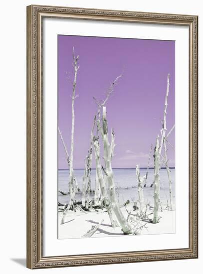 Cuba Fuerte Collection - Ocean Wild Nature II - Pastel Purple-Philippe Hugonnard-Framed Photographic Print