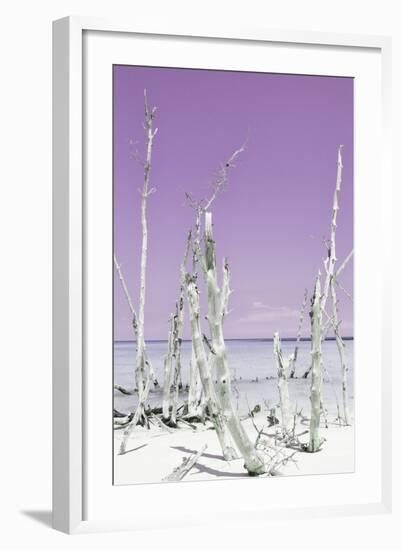 Cuba Fuerte Collection - Ocean Wild Nature II - Pastel Purple-Philippe Hugonnard-Framed Photographic Print