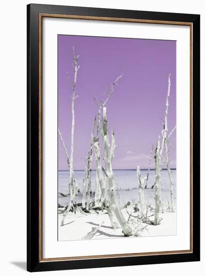 Cuba Fuerte Collection - Ocean Wild Nature II - Pastel Purple-Philippe Hugonnard-Framed Photographic Print