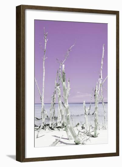 Cuba Fuerte Collection - Ocean Wild Nature II - Pastel Purple-Philippe Hugonnard-Framed Photographic Print