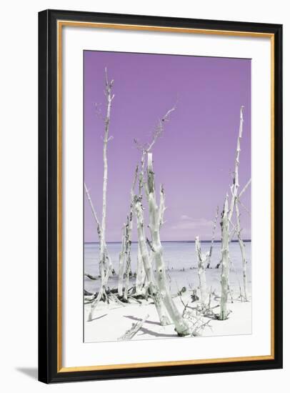 Cuba Fuerte Collection - Ocean Wild Nature II - Pastel Purple-Philippe Hugonnard-Framed Photographic Print