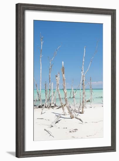 Cuba Fuerte Collection - Ocean Wild Nature III-Philippe Hugonnard-Framed Photographic Print