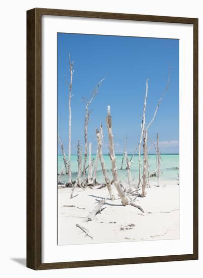 Cuba Fuerte Collection - Ocean Wild Nature III-Philippe Hugonnard-Framed Photographic Print