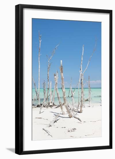 Cuba Fuerte Collection - Ocean Wild Nature III-Philippe Hugonnard-Framed Photographic Print