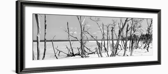 Cuba Fuerte Collection Panoramic BW - Tropical Wild Beach-Philippe Hugonnard-Framed Photographic Print