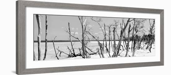 Cuba Fuerte Collection Panoramic BW - Tropical Wild Beach-Philippe Hugonnard-Framed Photographic Print