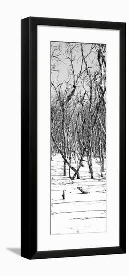 Cuba Fuerte Collection Panoramic BW - White Forest-Philippe Hugonnard-Framed Photographic Print