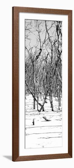 Cuba Fuerte Collection Panoramic BW - White Forest-Philippe Hugonnard-Framed Photographic Print