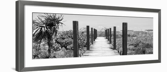 Cuba Fuerte Collection Panoramic BW - Wooden Jetty on the Beach-Philippe Hugonnard-Framed Photographic Print