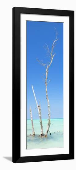 Cuba Fuerte Collection Panoramic - Ocean Nature-Philippe Hugonnard-Framed Photographic Print