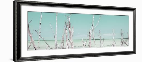 Cuba Fuerte Collection Panoramic - Ocean Wild Nature - Pastel Coral Green-Philippe Hugonnard-Framed Photographic Print