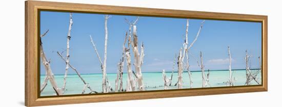 Cuba Fuerte Collection Panoramic - Ocean Wild Nature-Philippe Hugonnard-Framed Stretched Canvas