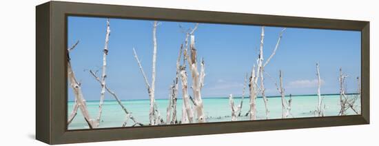 Cuba Fuerte Collection Panoramic - Ocean Wild Nature-Philippe Hugonnard-Framed Stretched Canvas