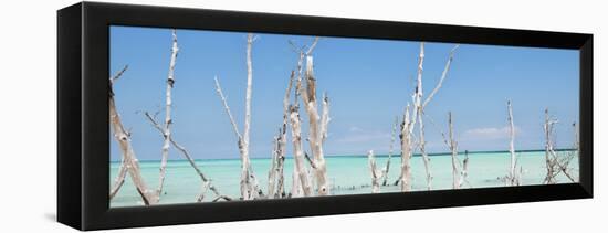 Cuba Fuerte Collection Panoramic - Ocean Wild Nature-Philippe Hugonnard-Framed Stretched Canvas