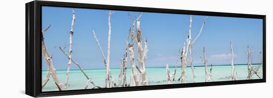 Cuba Fuerte Collection Panoramic - Ocean Wild Nature-Philippe Hugonnard-Framed Stretched Canvas