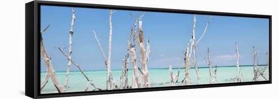 Cuba Fuerte Collection Panoramic - Ocean Wild Nature-Philippe Hugonnard-Framed Stretched Canvas