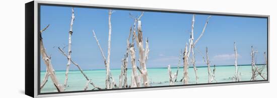 Cuba Fuerte Collection Panoramic - Ocean Wild Nature-Philippe Hugonnard-Framed Stretched Canvas